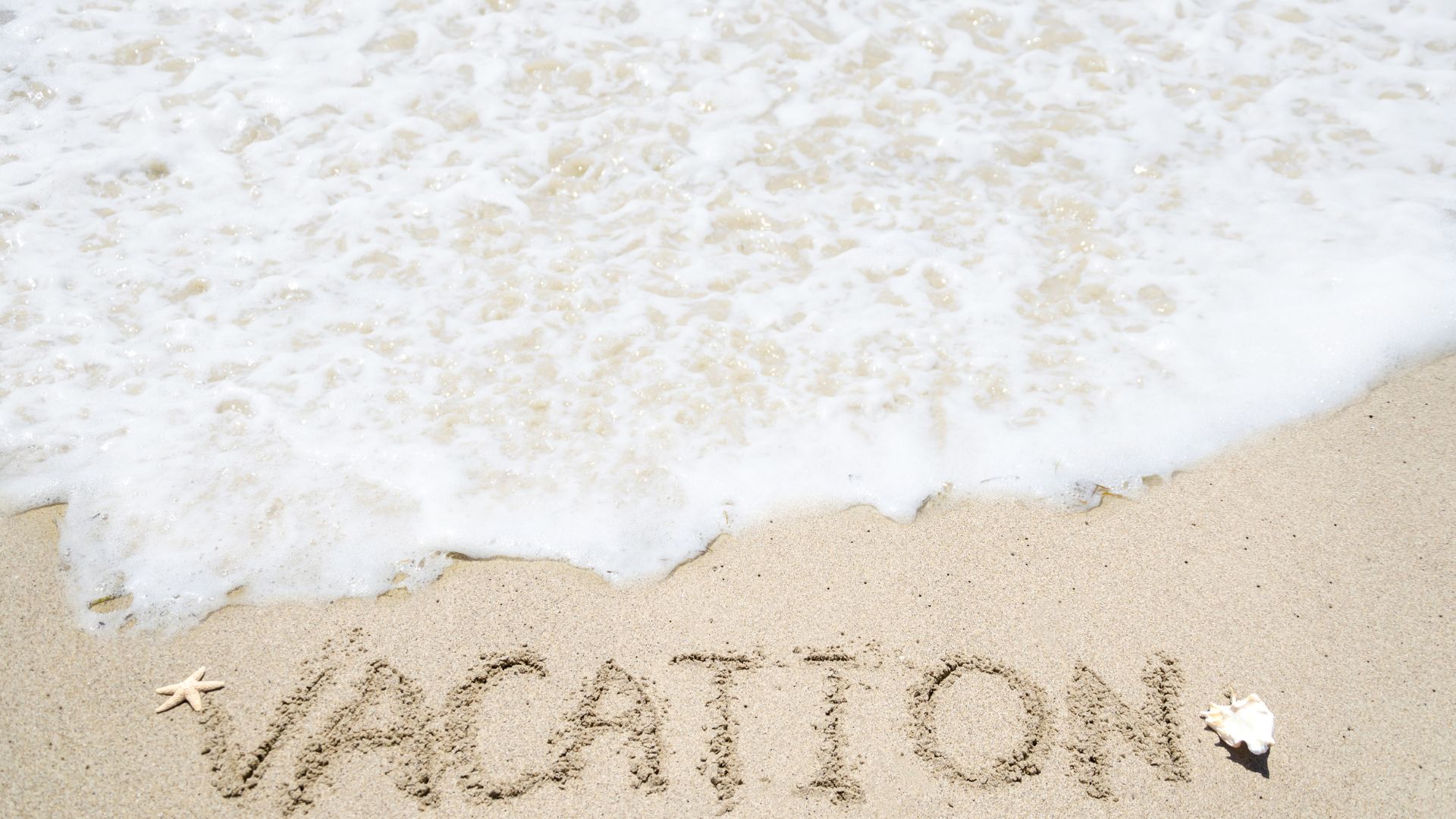 夏休み限定|学生向け超音波検査 実技セミナーのご案内